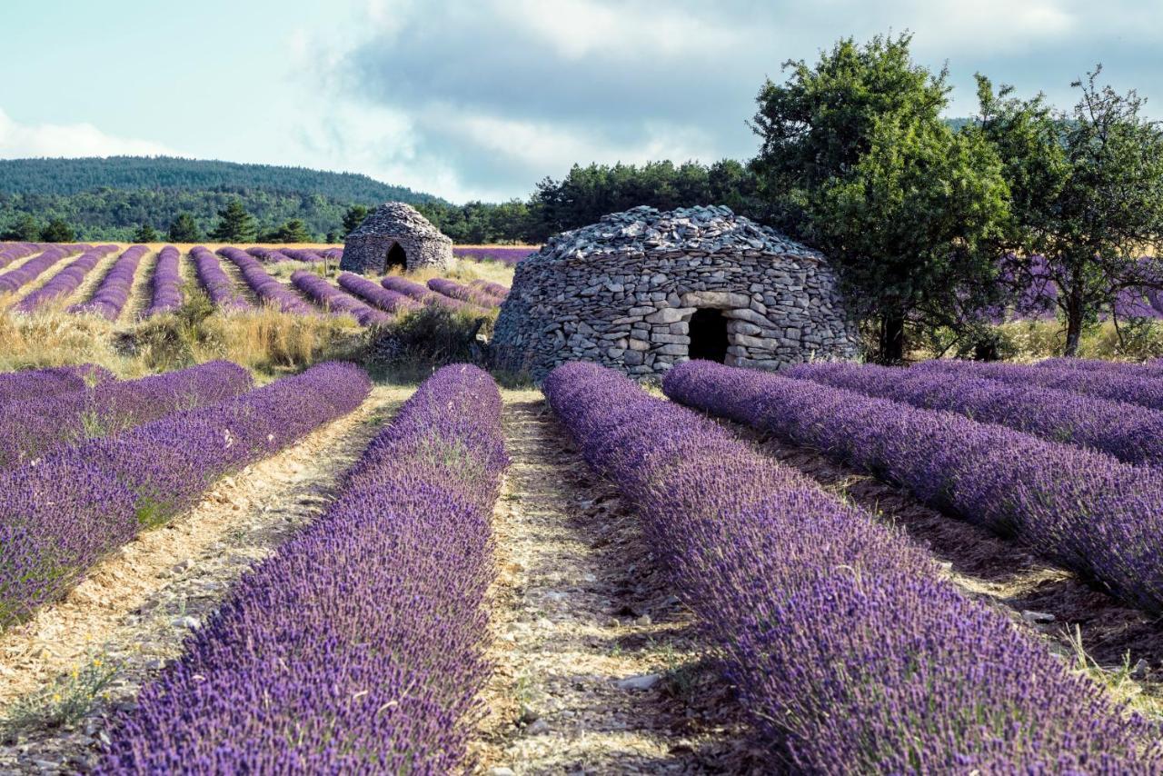 Gite La Bastide De La Loge Au Pied Du Mont Ventoux Sault-de-Vaucluse Esterno foto